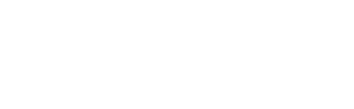 logo_dichiarazione_white